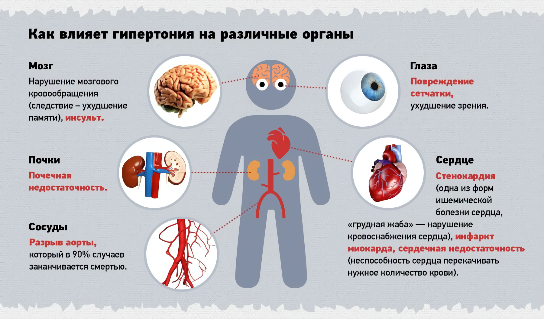Нажмите для увеличения