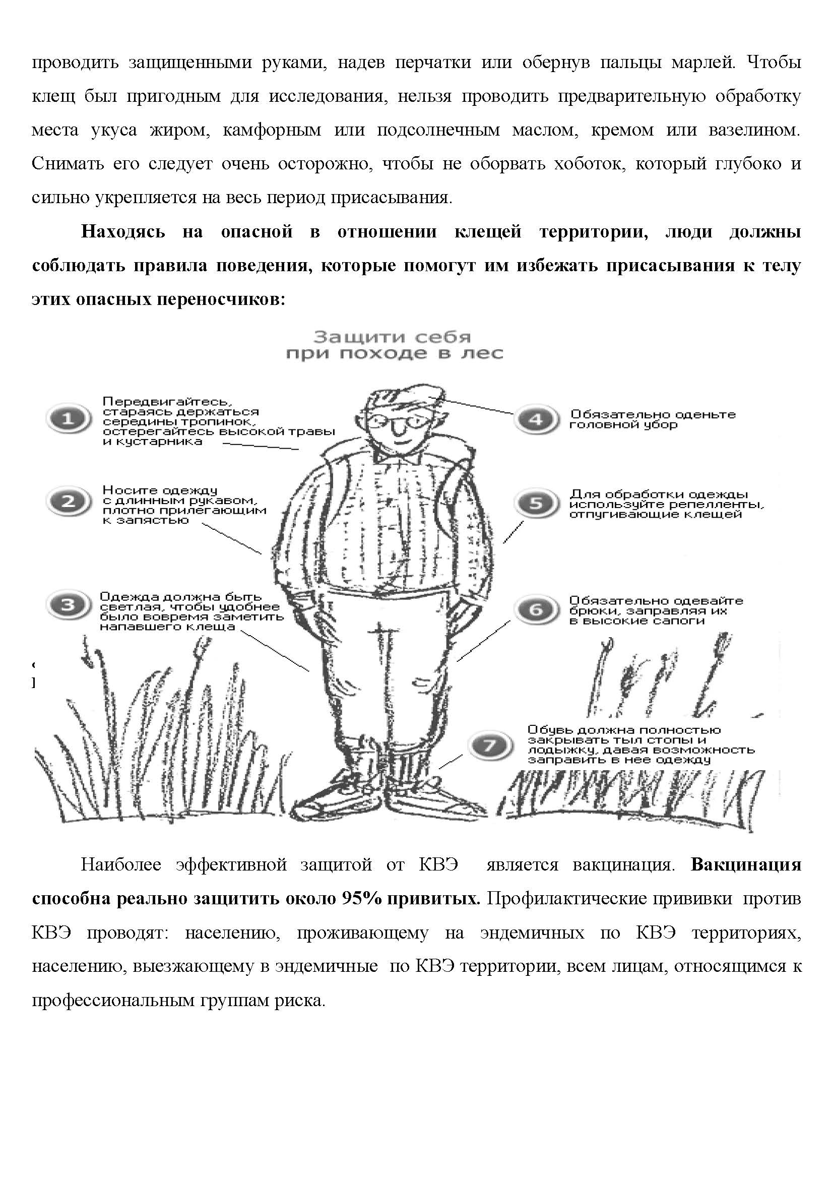 проводить защищенными руками, надев перчатки или обернув пальцы марлей. Чтобы клещ был пригодным для исследования, нельзя проводить предварительную обработку места укуса жиром, камфорным или подсолнечным маслом, кремом или вазелином. Снимать его следует очень осторожно, чтобы не оборвать хоботок, который глубоко и сильно укрепляется на весь период присасывания.
Находясь на опасной в отношении клещей территории, люди должны соблюдать правила поведения, которые помогут им избежать присасывания к телу этих опасных переносчиков:
1. Передвижение по середине тропинок, остерегаться густой высокой травы и кустарников.
2. Обязательное ношение головного убора
3. Одежда должна быть светлой(для удобстно вовремя увидеть напавшего клеща)и с длиным рукавом, плотно прилегающим к запастью.
4. Используйте защитные средства(репелленты) на одежду отпугивающие клещей
5. Обязательно одевать брюки, заправляя их в высокие сапоги
Наиболее эффективной защитой от КВЭ является вакцинация. Вакцинация способна реально защитить около 95% привитых. Профилактические прививки против КВЭ проводят: населению, проживающему на эндемичных по КВЭ территориях, населению, выезжающему в эндемичные по КВЭ территории, всем лицам, относящимся к профессиональным группам риска.