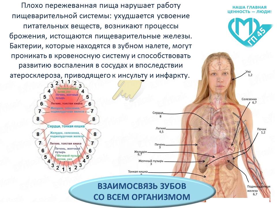 Нажмите для увеличения